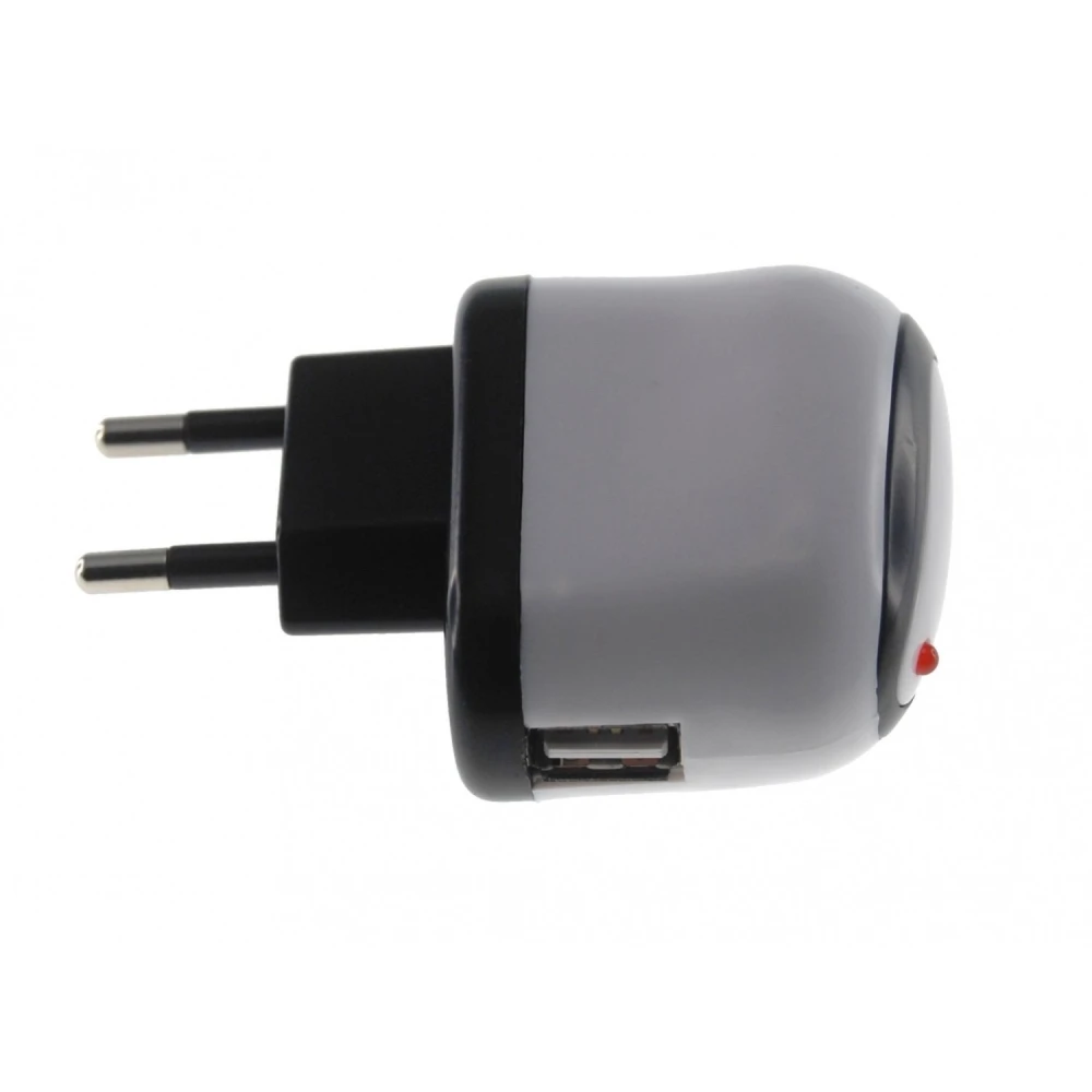 Zasilacz USB 10W do iPad i iPad 2, kompatybilny z iPod i iPhone