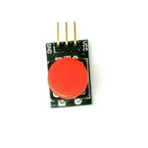 Duży przycisk Arduino: przycisk chwilowy do projektów elektronicznych